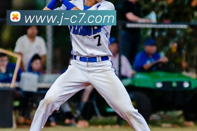 c7娱乐平台生态图